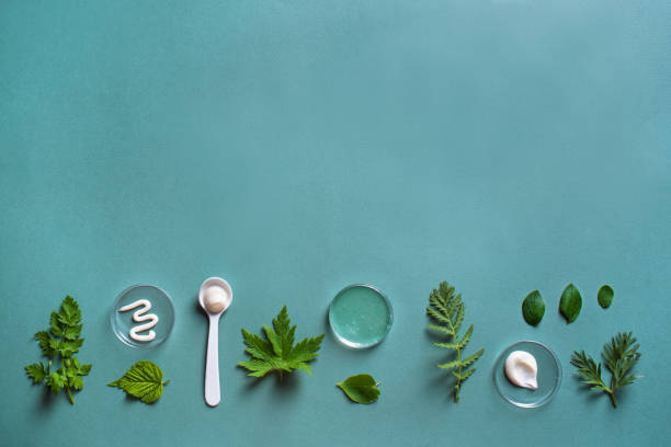istock Natural skin care concept 1319828081