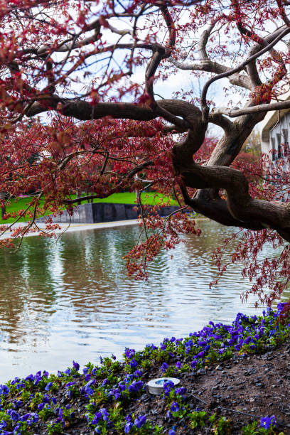 City Park \