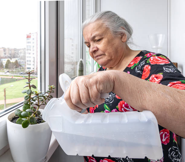 istock An elderly woman is watering home plants. 1319829775