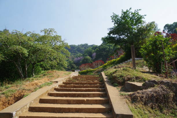 istock Mountain view in Western Ghats 1319834045