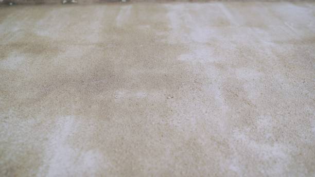 istock Concrete primed floor. The floor is painted, white cement. 1319836024