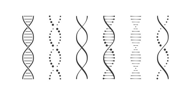 dna-symbole setzen einfache illustration - helix stock-grafiken, -clipart, -cartoons und -symbole