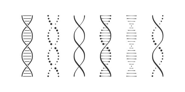 DNA icons set simple illustration DNA icons set simple illustration dna stock illustrations