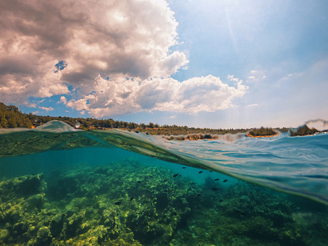 Combined underwater and surface view in crystal clear lagoon on the Greek island