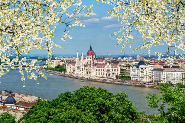 Hungarian parliament building and Danube river in spring, Budapest, Hungary