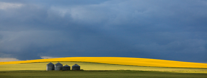 A rural scenic image of old abandoned grain bins on the great plains with dramatic storm clouds and canola field in the distance. Image taken in Southern Alberta, Canada.