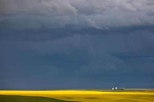A rural scenic image of old abandoned grain bins on the great plains with dramatic storm clouds and canola field in the distance. Image taken in Southern Alberta, Canada.
