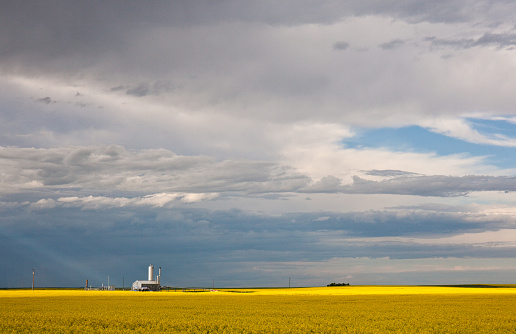 A natural gas wellhead and processing site on the great plains in Alberta, Canada. Yellow canola field in foreground with dramatic stormy sky.