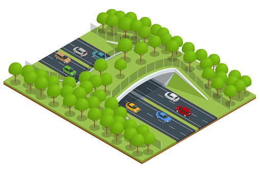 Isometric expressway with a bridge for wildlife. Bridge over a highway in forest.