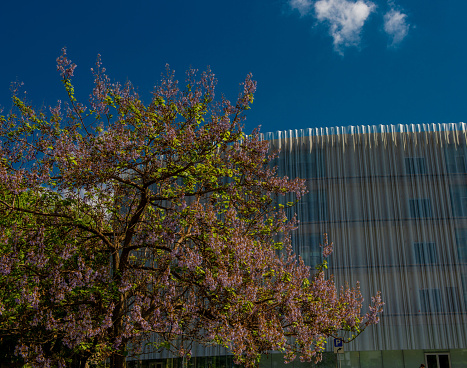 new building complex for the Bocconi University of Milan