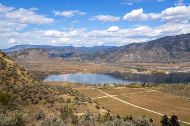 paesaggio dei vigneti di osoyoos valle okanagan - okanagan vineyard okanagan valley valley foto e immagini stock