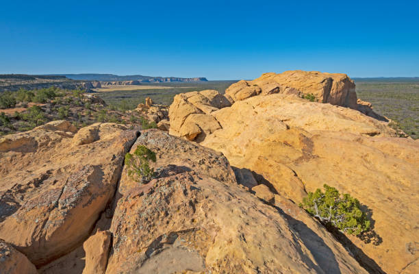 istock Sandstone Bluff Rising Out of a Lava Plain 1319850438