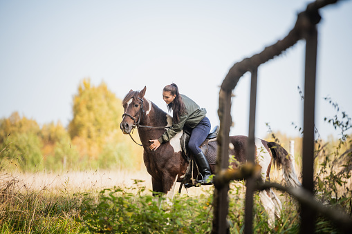 On a warm autumn day, a young girl went out to ride her mare on horseback around the farm.