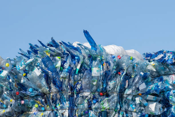 used plastic trash. pressed beverage packagings on a blue sky background - polyethylene terephthalate imagens e fotografias de stock