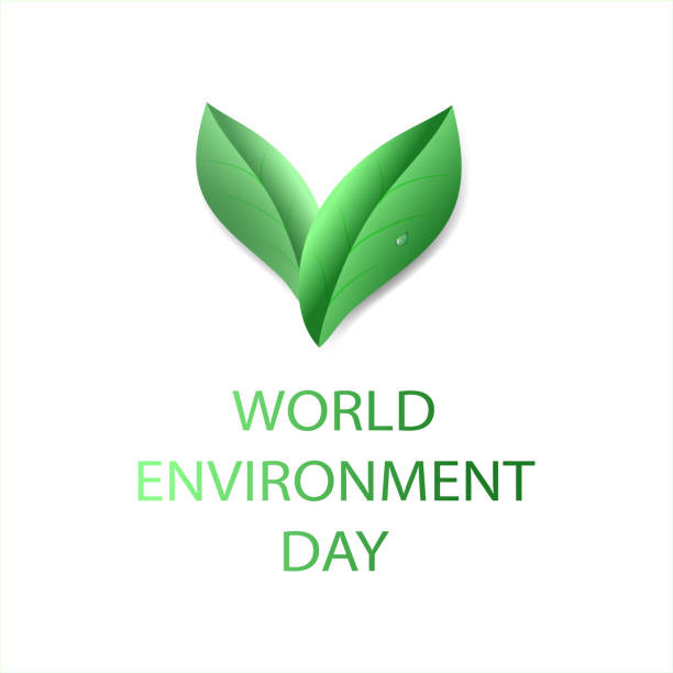 istock Environment concept. Bulky leaves and a drop of water. Vector illustration in the style of realism. World Environment Day. 1319854156