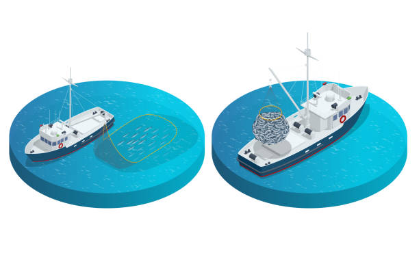 isometrische schifffahrt fischindustrie boot isoliert auf weißem hintergrund. kommerzieller seetransport seefischerei, schiffsschifffahrt, fischboot. fischerboot, fischerboot. - isometric sea coastline beach stock-grafiken, -clipart, -cartoons und -symbole