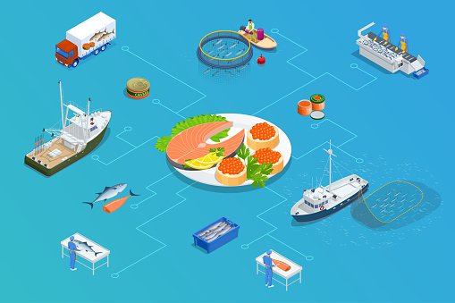 Isometric Fish industry seafood concept. Commercial fishing. Sea fishing, ship marine industry, fish boat