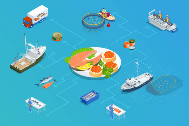 Isometric Fish industry seafood concept. Commercial fishing. Sea fishing, ship marine industry, fish boat. Isometric Fish industry seafood concept. Commercial fishing. Sea fishing, ship marine industry, fish boat fish trawler stock illustrations
