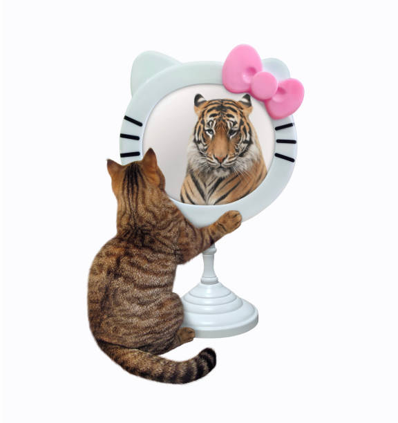 istock Cat sits near funny round mirror 1319855169