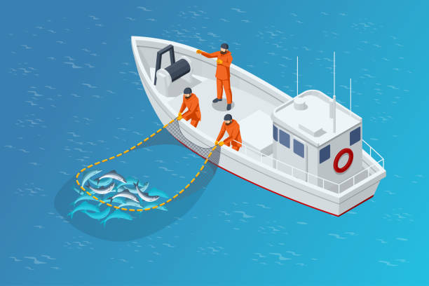 illustrazioni stock, clip art, cartoni animati e icone di tendenza di goletta da pesca isometrica, barca da pesca o nave. pescatori che tirano su una rete piena di pesce. pesca marittima, industria navale, peschereccio - lake coastline blue nautical vessel