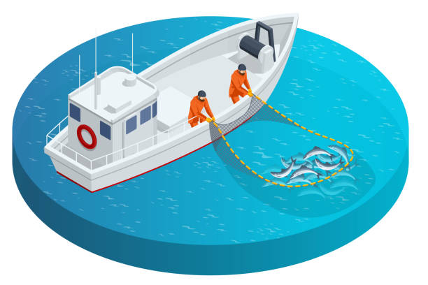 ilustraciones, imágenes clip art, dibujos animados e iconos de stock de goleta de pesca isométrica, barco pesquero o barco. pescadores levantando una red llena de peces. pesca marítima, industria marina de barcos, barco pesquero - fishermen harbor