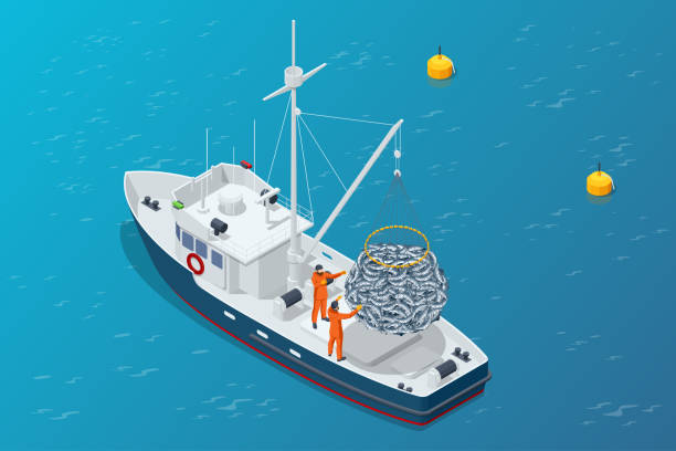 ilustraciones, imágenes clip art, dibujos animados e iconos de stock de barco isométrico de la industria del marisco aislado sobre fondo blanco. transporte marítimo comercial pesca marítima, industria marina de barcos, barco pesquero. barco pesquero, barco pesquero. - saltwater fishing