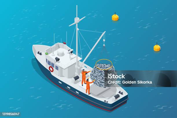 Isometric Shipping Seafood Industry Boat Isolated On White Background  Commercial Ocean Transportation Sea Fishing Ship Marine Industry Fish Boat  Fishing Boat Fishing Vessel Stock Illustration - Download Image Now - iStock