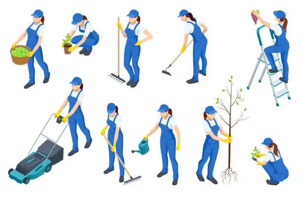 Vector illustration of Isometric isolated icons of woman working on farm, in garden. Woman harvests, plants a tree and seedlings, water, carries a basket of crops