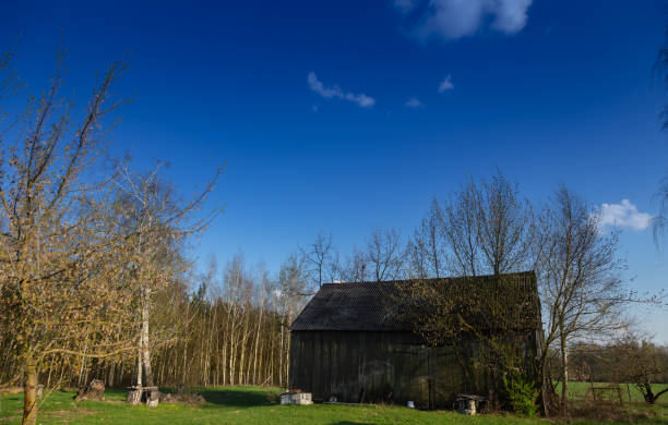 istock An old wooden barn 1319857048