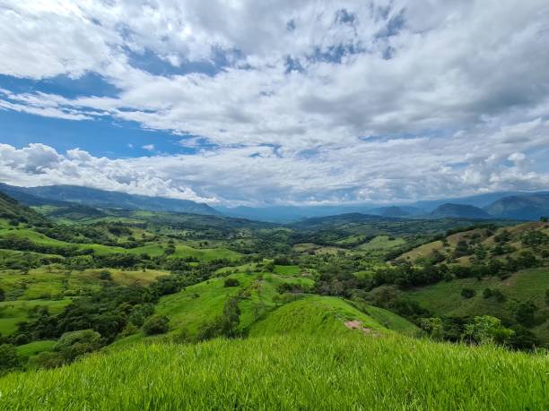 istock Panoramic and rural landscape in Tamesis. 1319857597