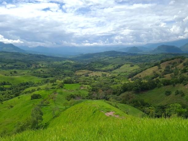 istock Panoramic and rural landscape in Tamesis. 1319857604