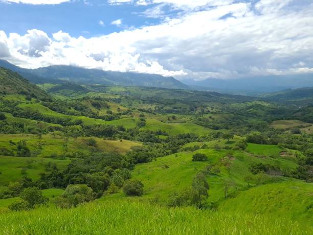 istock Panoramic and rural landscape in Tamesis. 1319857635