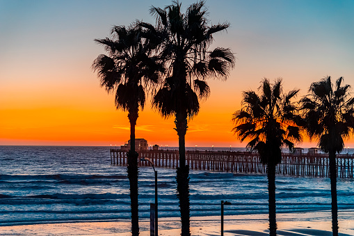 Oceanside Pier with it's street lights on is surrounded by silhouetted palm trees and sits on the edge of the Pacific Ocean in the golden light of sunset in Southern California.