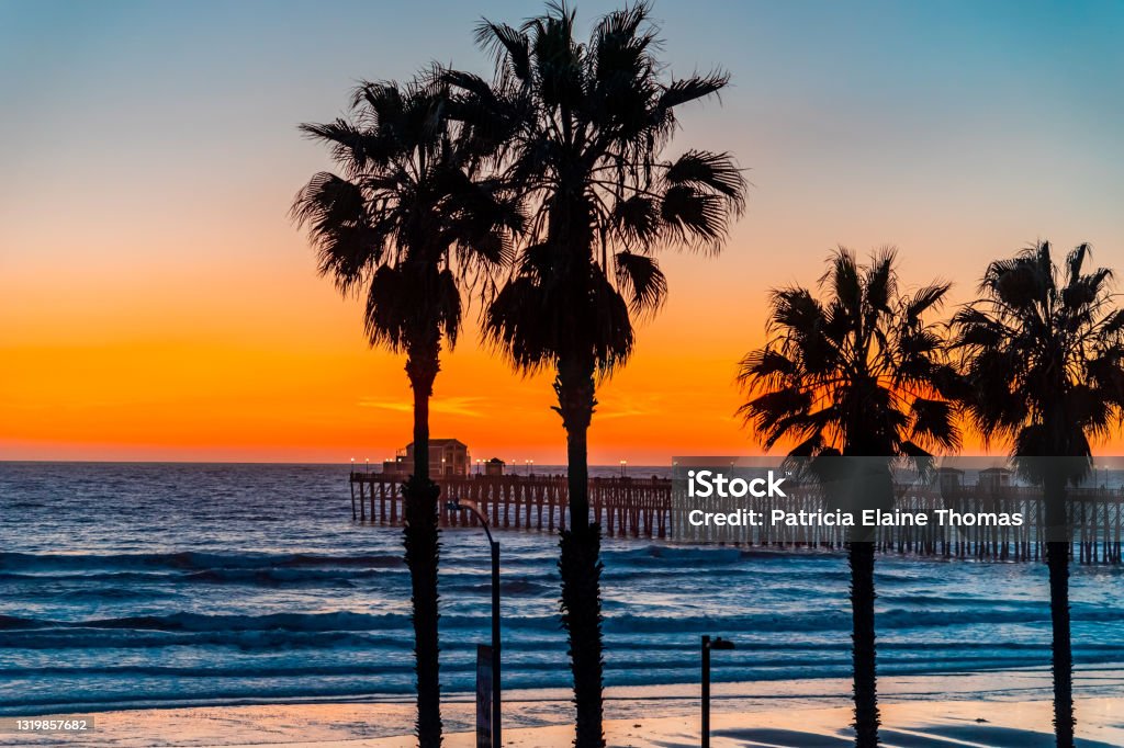 Silhouetted palms trees are highlighted against sunset sky with Oceanside Pier Oceanside Pier with it's street lights on is surrounded by silhouetted palm trees and sits on the edge of the Pacific Ocean in the golden light of sunset in Southern California. California Stock Photo