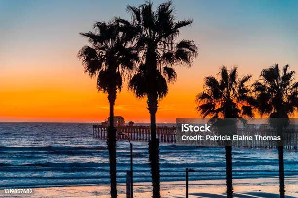 Silhouetted Palms Trees Are Highlighted Against Sunset Sky With Oceanside Pier Stock Photo - Download Image Now