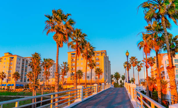 Oceanside Pier's walkway leads to the downtown district of Oceanside, California Palm trees  in dusk light flank the Oceanside Pier's walkway as it leads to the downtown area with it's high rise buildings in Oceanside, California california fuchsia stock pictures, royalty-free photos & images