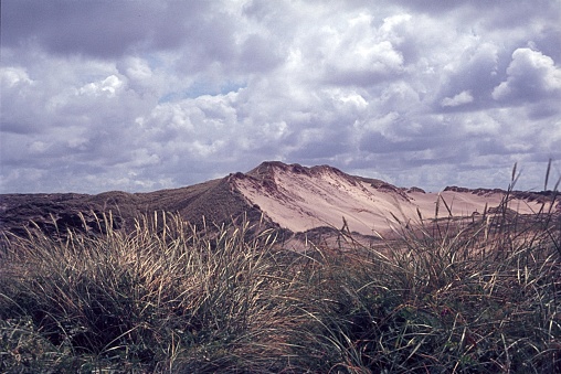 Westerland, Sylte, Germany, 1978. North Sea coast landscape with dunes, reeds and clouds.