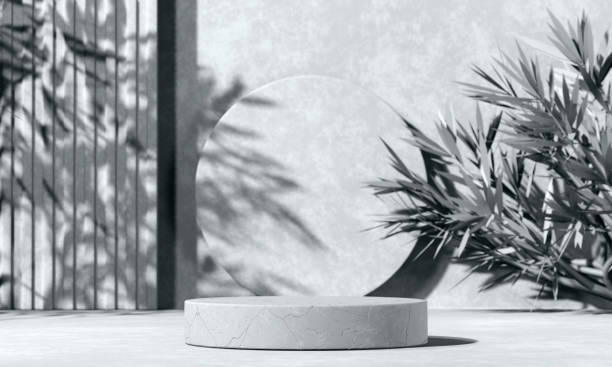 istock Minimal abstract background with 3D concrete podium display in black and white 1319859866