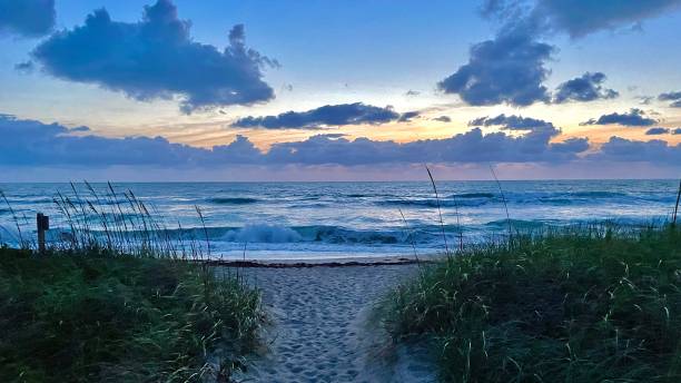 istock Pre dawn colorful beautiful beach pathway leading to ocean 1319860122