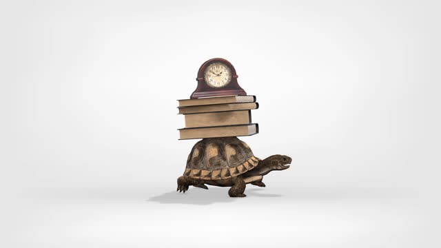 Turtle carrying books and clock, conceptual video