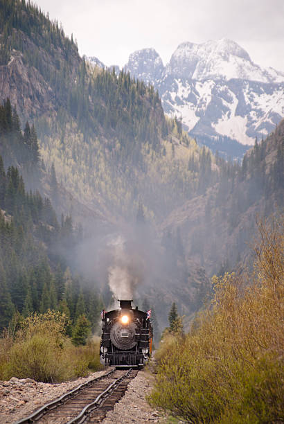 istock Narrow Gauge Train 131986139