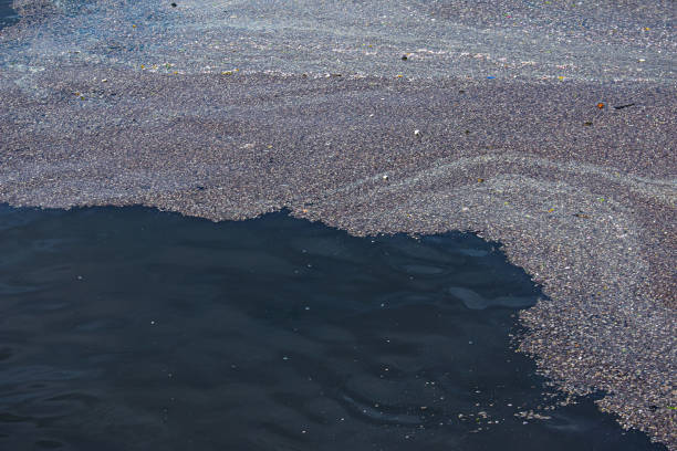 istock Dirty orange water from sewage pipeline mixes with river water. Clear border between two different water streams. Environmental pollution theme. 1319862422