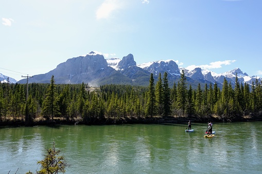 Canmore, Alberta, Canada - May 15th, 2021: A group of people paddle boarding down the Bow River surrounded by forests and mountains in Canmore, Alberta, Canada