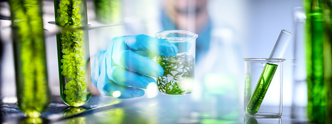 Photobioreactor in medical science laboratory algae fuel biofuel industry, nature algal research, energy and healthcare treatment biotechnology, coronavirus covid-19 vaccine, eco living sustainable