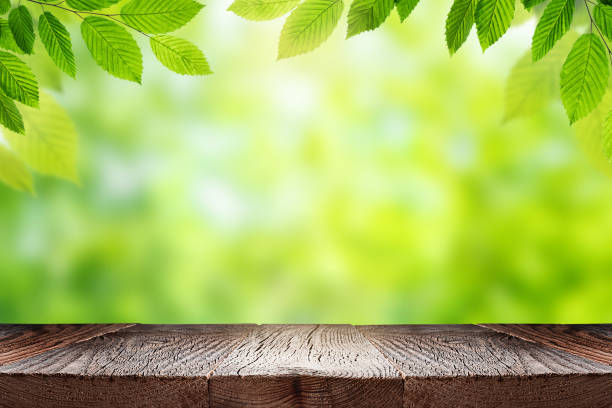istock Green summer background with empty space for product display 1319865267