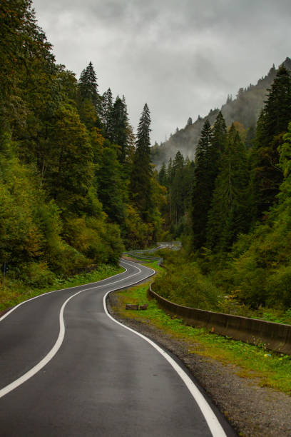 asfaltowa droga przecinająca bujne lasy w karpatach w transylwanii, w środkowej rumunii, w deszczowy mglisty jesienny dzień - forest transylvania rain fog zdjęcia i obrazy z banku zdjęć