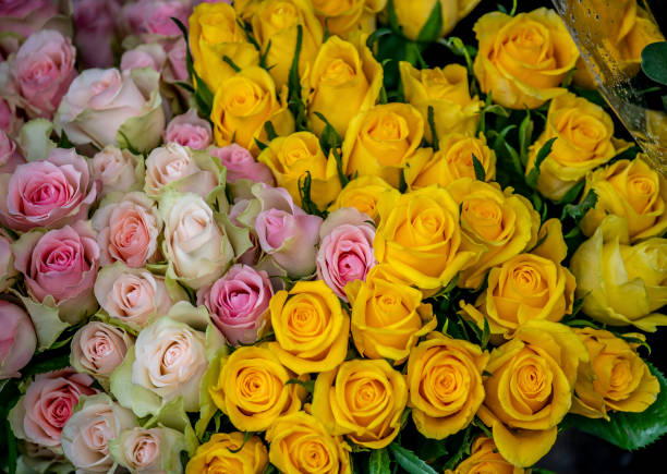 istock Cut yellow roses at a Canberra market. 1319872263