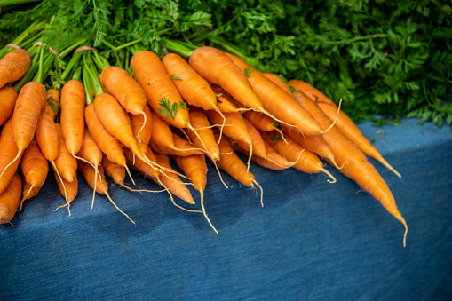 Bunches of Carrots at a Canberra market