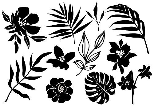 Vector tropic leaves and flower silhouette. Jungle plant, monstera leaf, palm frond, exotic floral. Abstract set with tropical elements isolated on white.