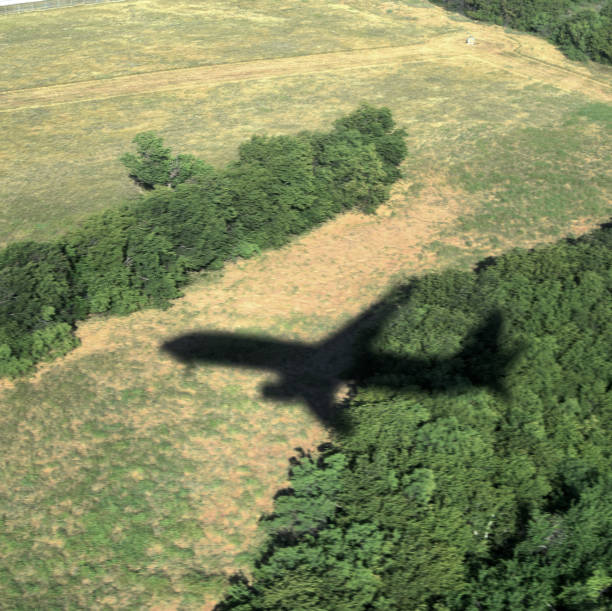 istock Outline of Plane on Land 1319880002